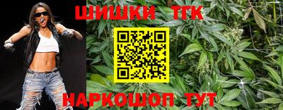 гидропоника Кунгур