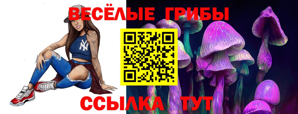 Псилоцибиновые грибы Psilocybine cubensis  Вход с VPN  Псилоцибиновые грибы прущие грибы  Елец 