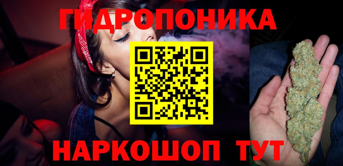 Бошки марихуана план  Вход с VPN  Шишки марихуана Ganja  Шишки марихуана индика  Елец 